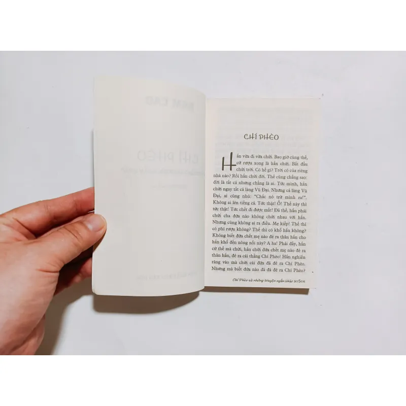 Chí Phèo Và Những Truyện Ngắn Khác 961328