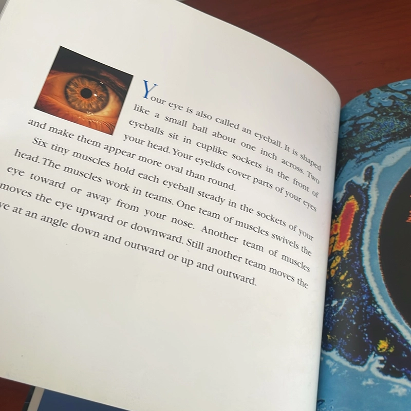 PICTURE BOOK Eyes and ears 536687