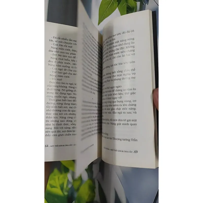 Một Thế Giới Bị Chia Cắt - Sâm Thương 798433