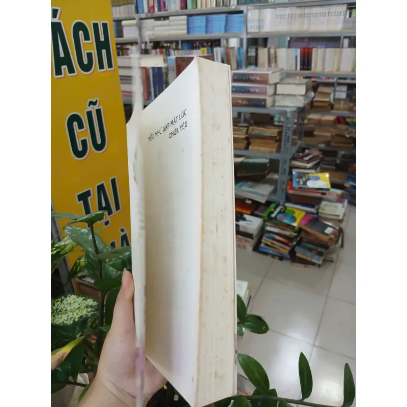 NẾU NHƯ GẶP MẶT LÚC CHƯA YÊU - PHONG THẦN TUYẾT (Phan Lưu Ly dịch) 996354