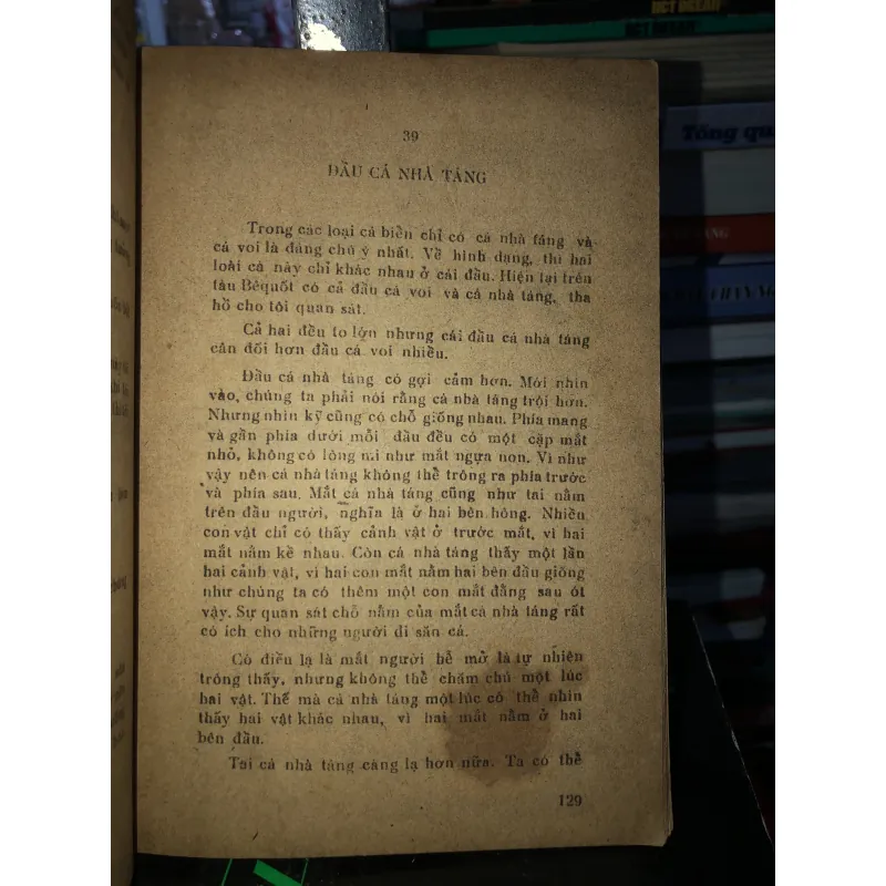 Cá voi trắng - Hơmơn Menvin 795448