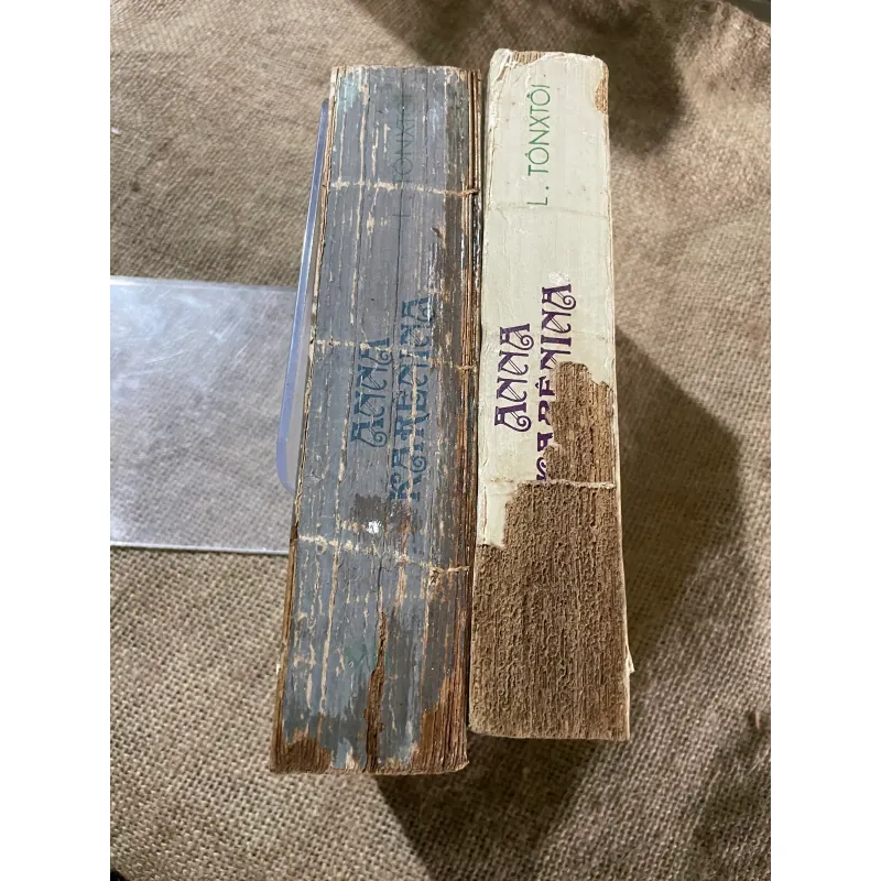 LIEP TÔNXTÔI ANNA KARÊNINA NHỊ CA, DƯƠNG TƯỜNG dịch ( HAI TẬP ) 573091