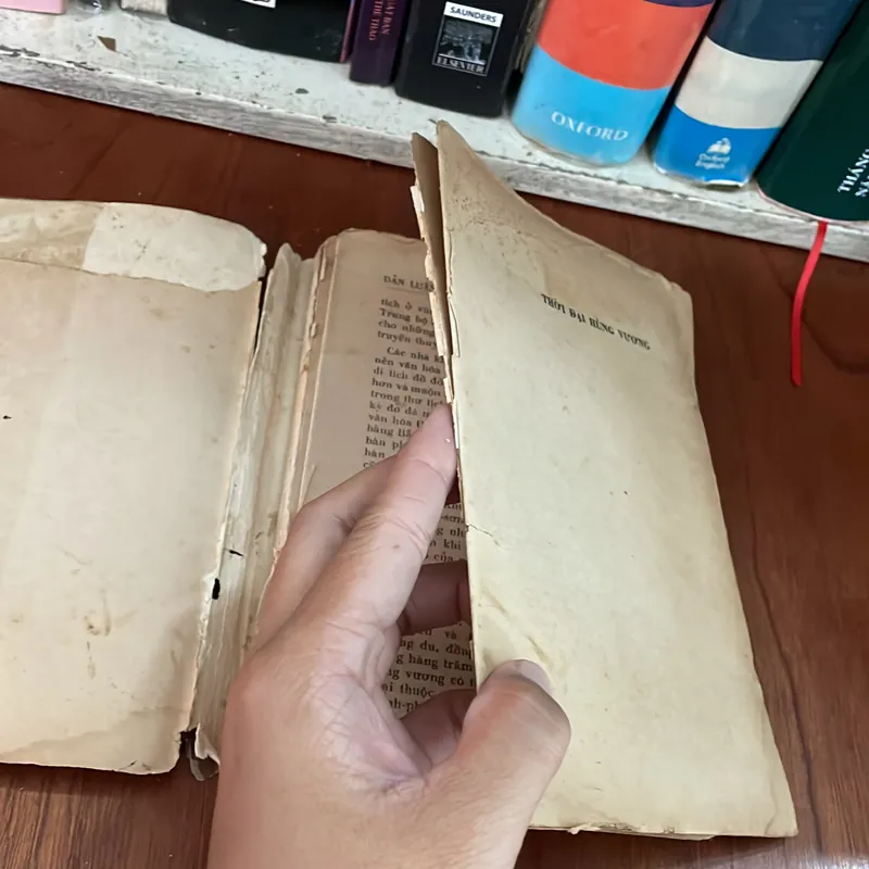 II Sách Xưa: Thời Đại Hùng Vương - 1973 562348