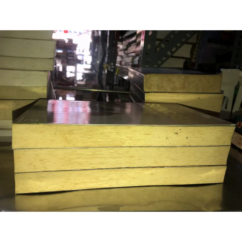 Ashfall - Mike Mullin 1030450