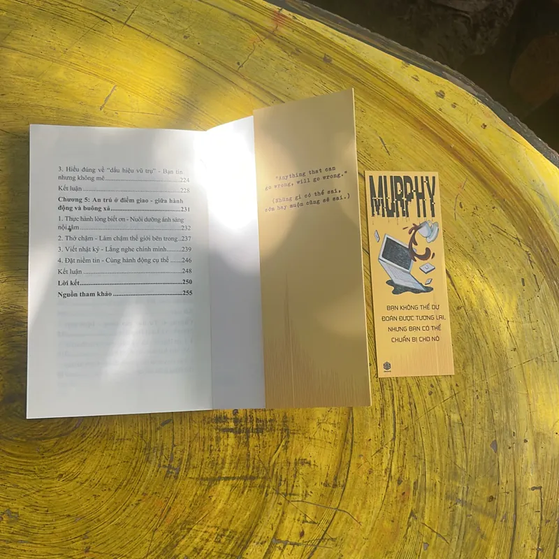 ĐỊNH LUẬT MURPHY- JENNY VƯƠNG BIÊN SOẠN 699473