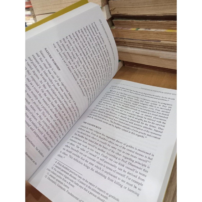 Buddhist Response to Environmental Protection - Vietnam Buddhist University Series 22 1019392