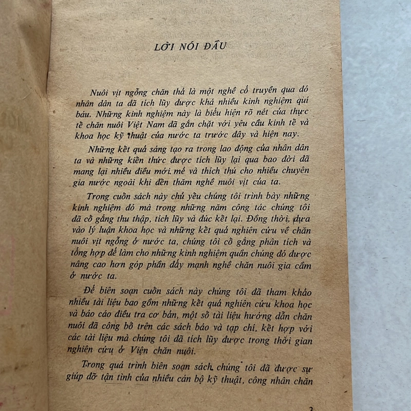 Nuôi vịt ngỗng chăn thả — 1979s 498350