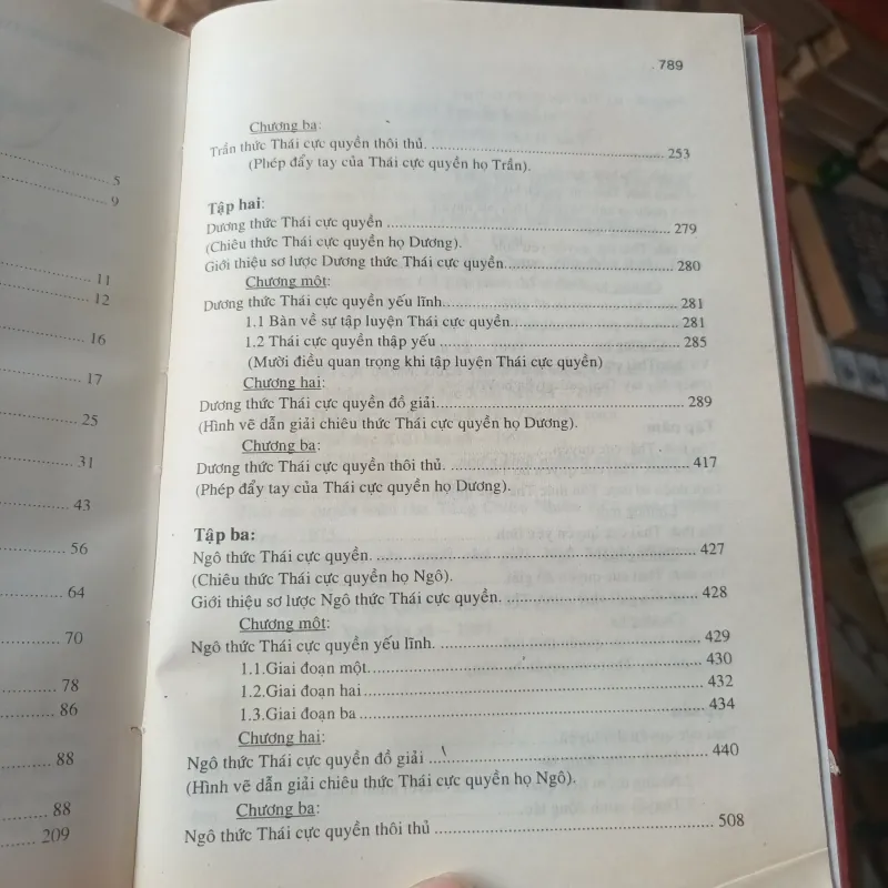 Thái Cực Quyền Toàn Tập- Nguyễn Anh Vũ 1027873