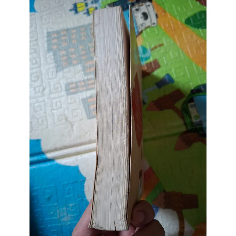 Ai Là Mẹ Anh? 796938