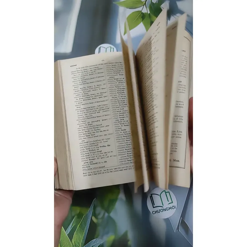 [MIỄN PHÍ BỌC SÁCH] [XƯA] A Pronouncing Dictionary Of American English (1953) 990529