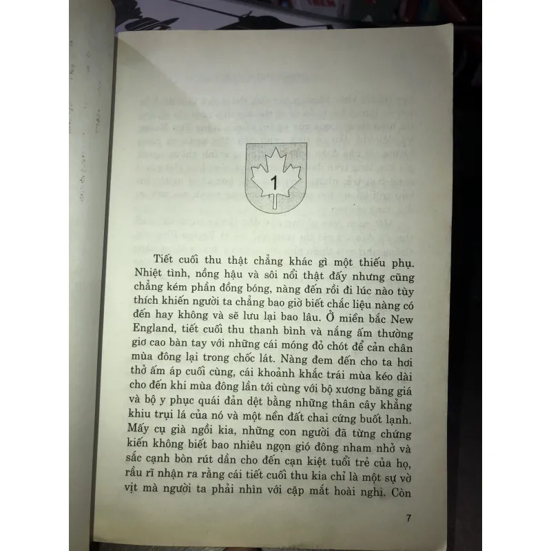 Chuyện về thị trấn nhỏ - Grace Metalious 1022507