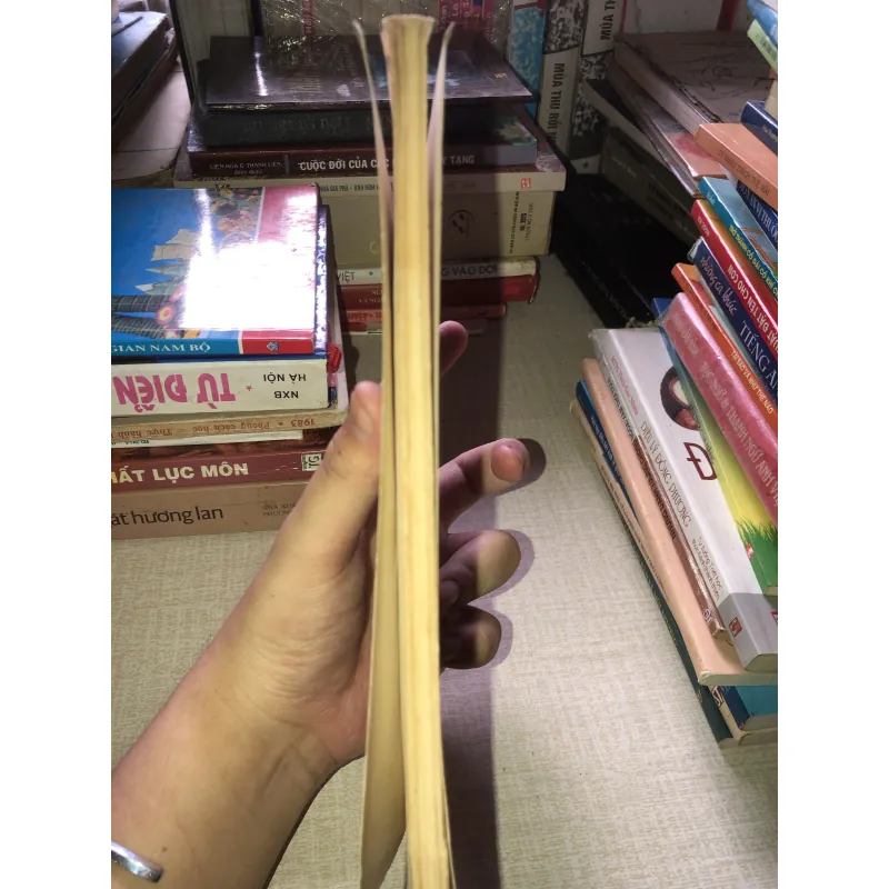 Tuổi Mực Tím Sài Gòn - Cù Mai Công 935195