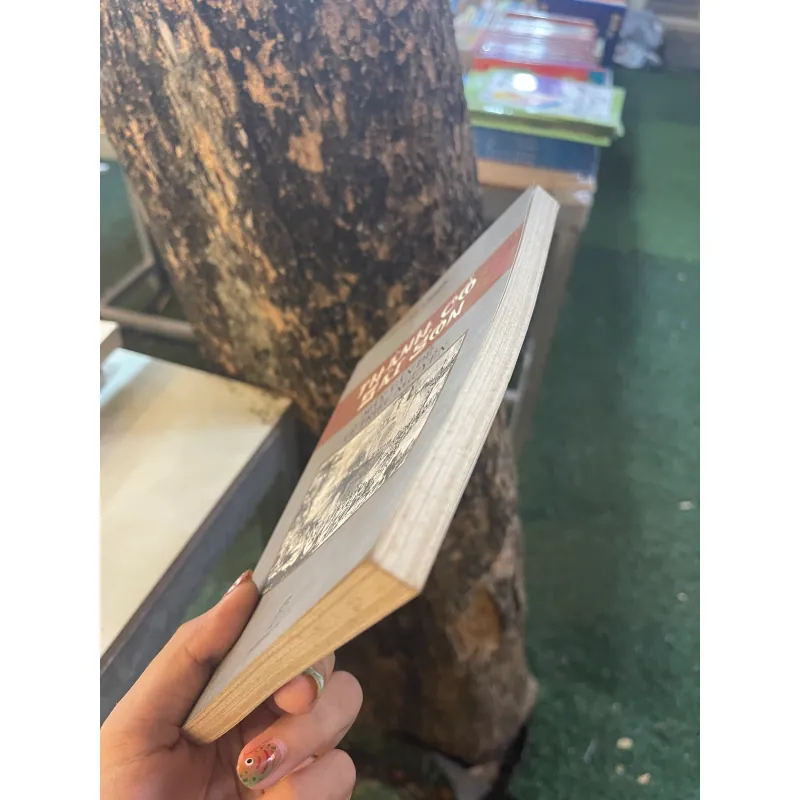 THÀNH CỔ SÀI GÒN: MẤY VẤN ĐỀ VỀ TRIỀU NGUYỄN - LÊ NGUYỄN  1023182