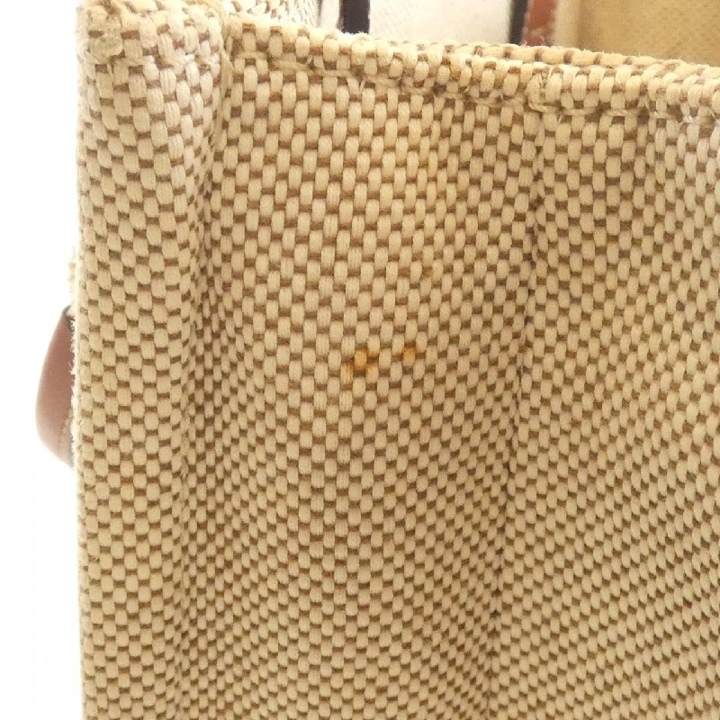 Túi xách nhỏ Woody Chloe CHC21US385 E66 - Hàng hiệu Chính hãng 776443