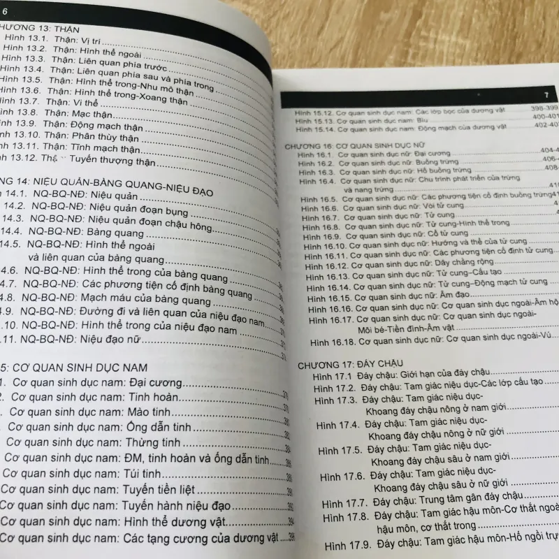 GIẢI PHẪU NGƯỜI - GIẢI PHẪU NGỰC BỤNG 989633