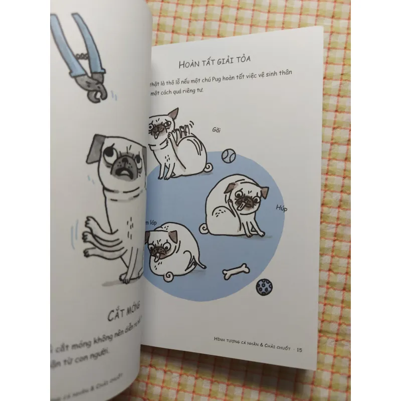 CẨM NANG THANH LỊCH CỦA PUG MẶT PHỊ - GEMMA CORRELL 753838