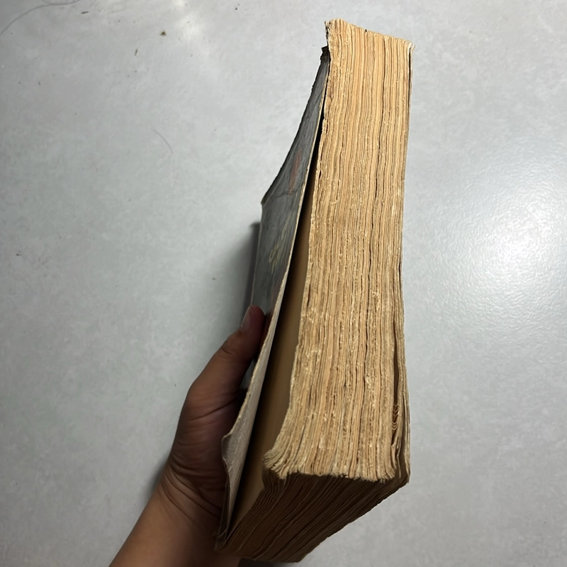 Các quy định Pháp luật về Xử phạt Hành chính — 1997s 496534