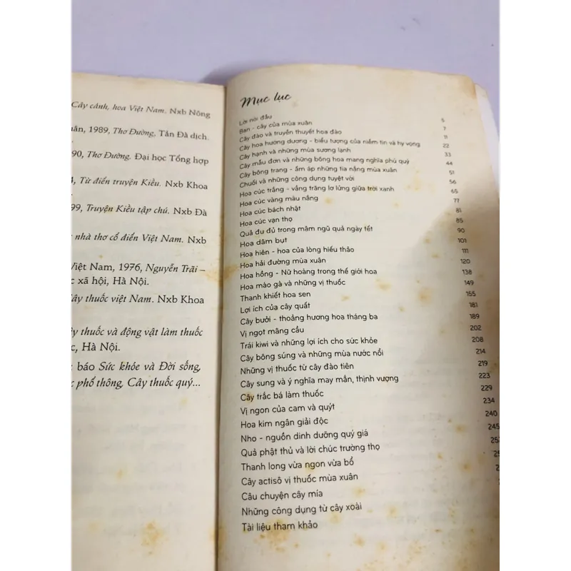 HOA QUẢ MÙA XUÂN VỪA ĐẸP VỪA NGON 693652