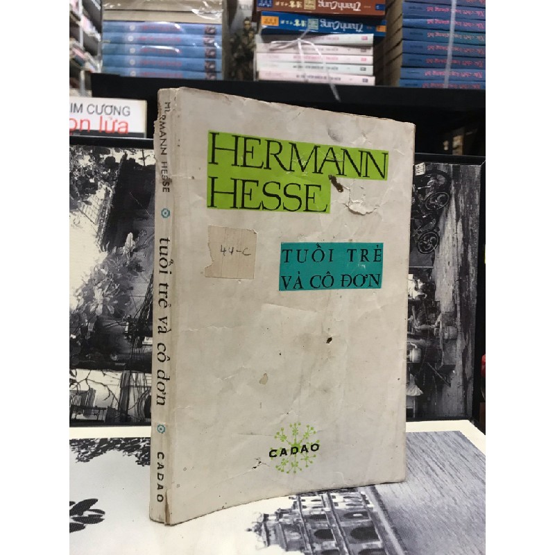 TUỔI TRẺ VÀ CÔ ĐƠN - HERMANN HESSE 150175