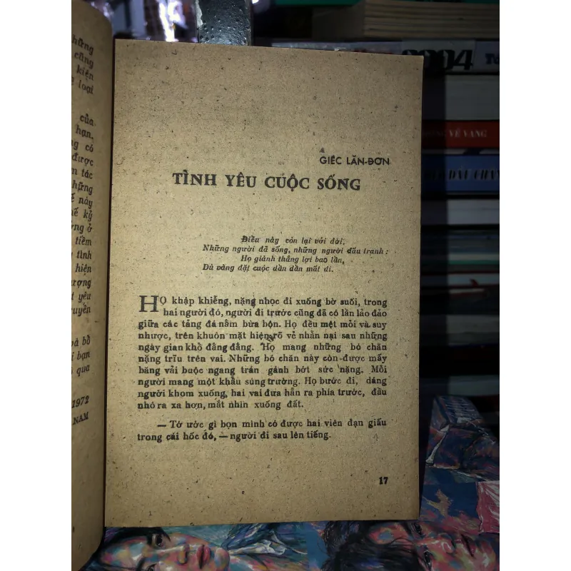 Hoa dại     975933