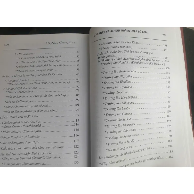 Đức Phật Và 45 Năm Hoằng Pháp Độ Sinh - tập 13 756002