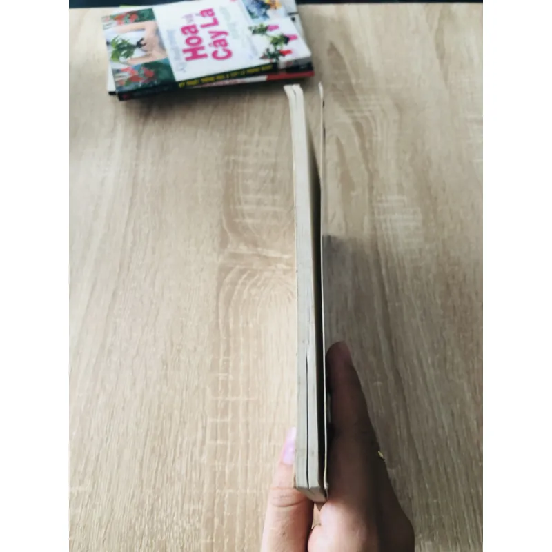 CHĂM SÓC CHÓ TẠI NHÀ 1007311