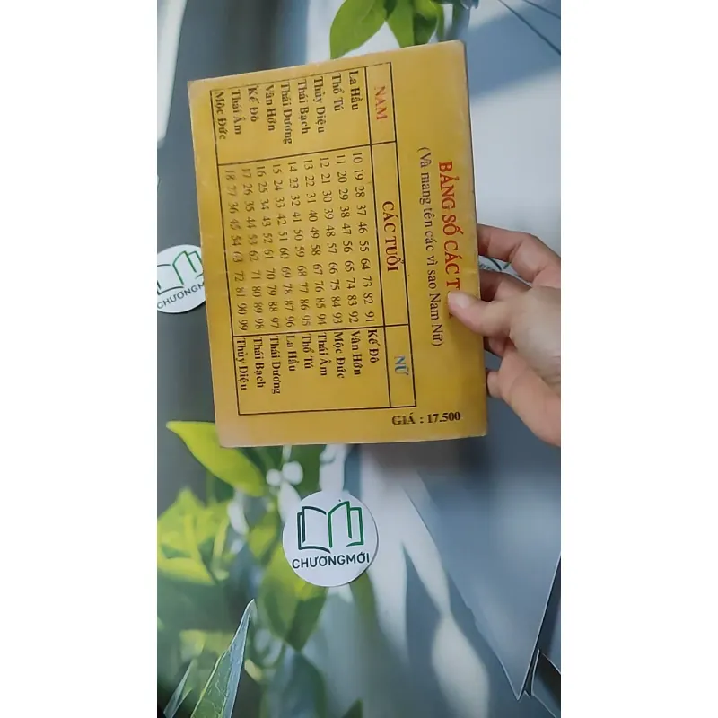 Cao Ly Đầu Hình 928569