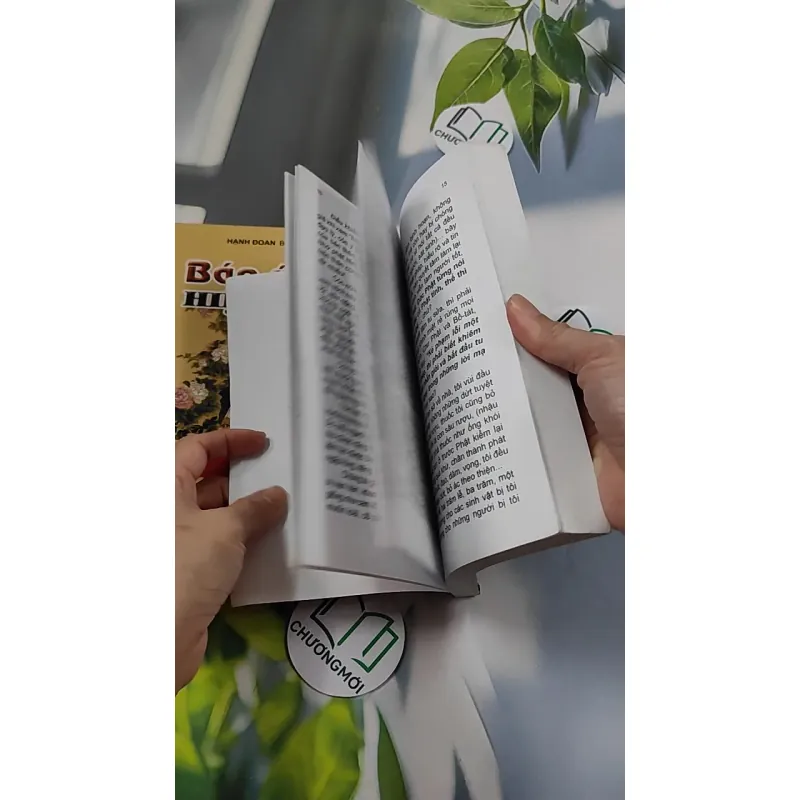 Báo Ứng Hiện Đời 1-2-3 - Hạnh Đoan 776122