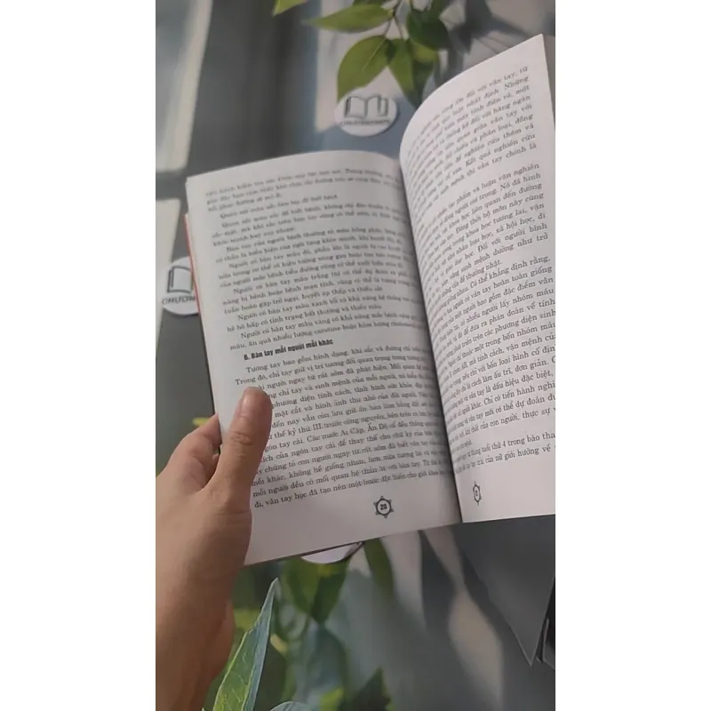 Khám Phá Bí Mật Khuôn Mặt Và Bàn Tay - Từ Liêm 928504