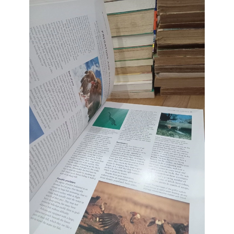 Birds of Asia & Australia: An Illustrated encyclopedia and birdwatching guide - David Alderton 791707