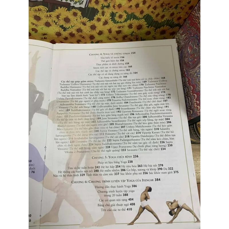 Kỹ Thuật và Thực Hành Yoga Toàn Tập - Iyengar 707648