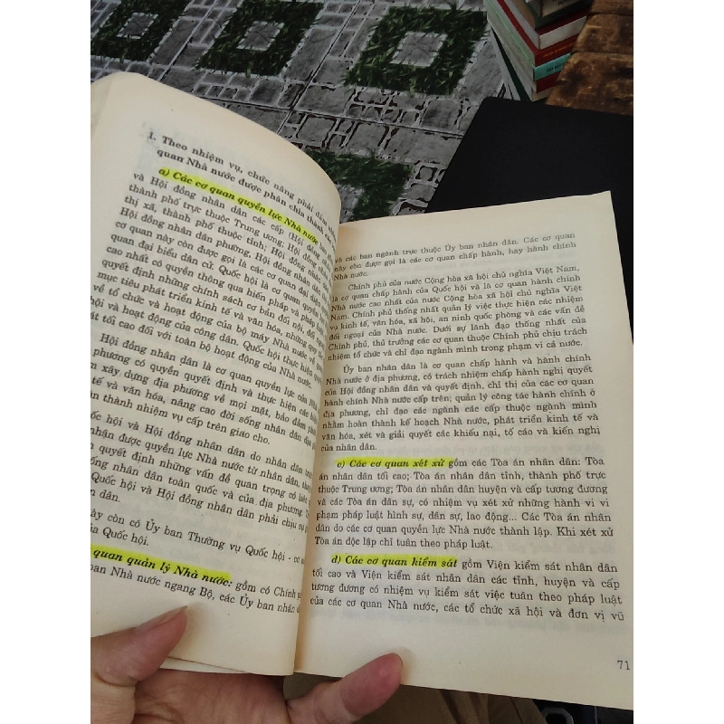 Luật hiến pháp Việt Nam - PGS. TS. Nguyễn Đăng Dung và Th.S. Ngô Đức Tuấn 1006268