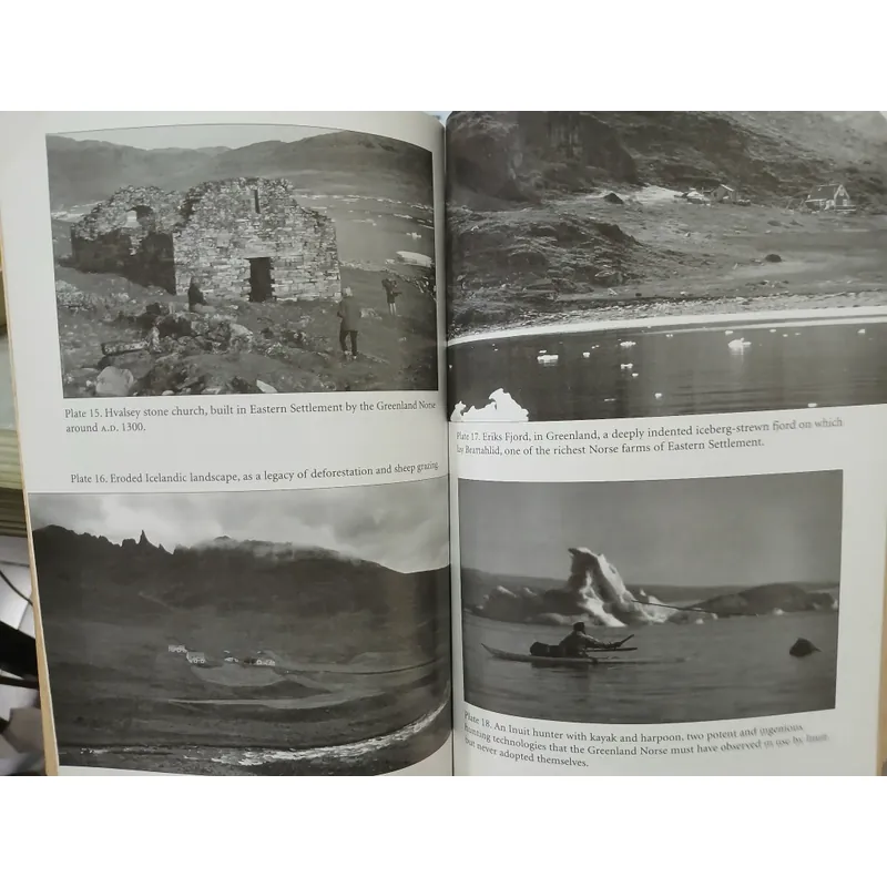 COLLAPSE: HOW SOCIETIES CHOOSE TO FAIL OR SUCEED 553327