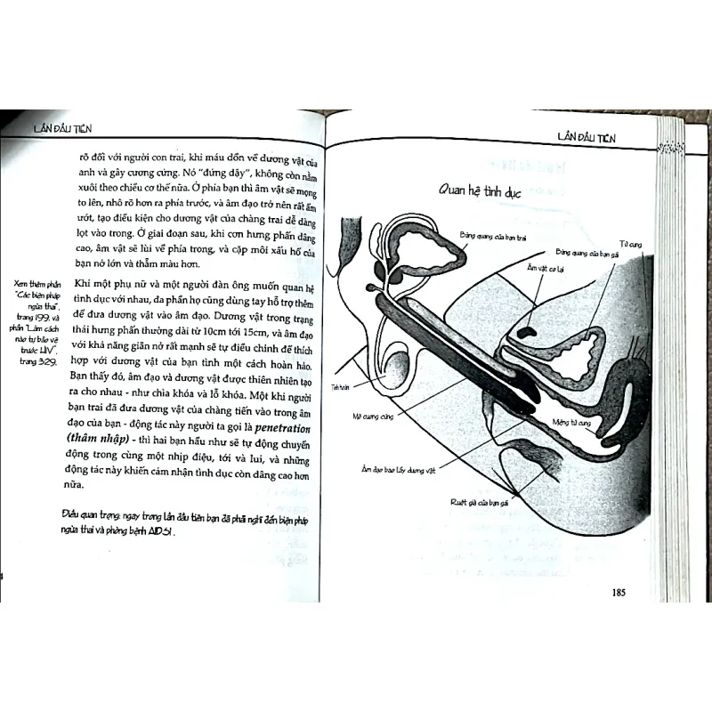 TẤT CẢ NHỮNG GÌ THIẾU NỮ MUỐN BIẾT - TRUDE AUSFELDER 1029798