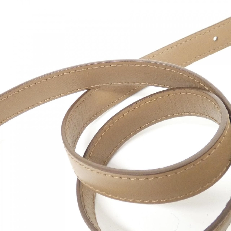 Túi xách vai Celine Medium Classic 189173DLS 613487