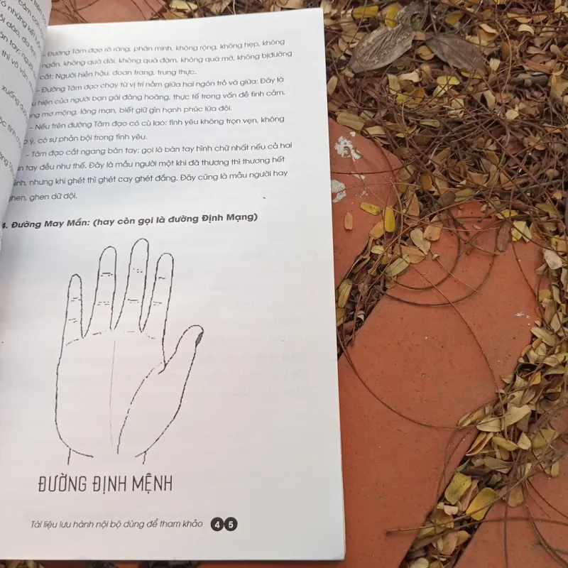 Tử vi tướng mệnh con người 1011037