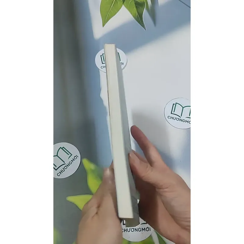 Giường - Phan An 694986