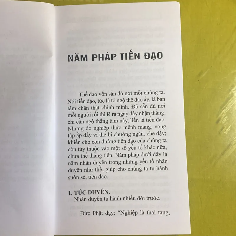 Để tiến được đạo - Thích Tâm Hạnh 605103