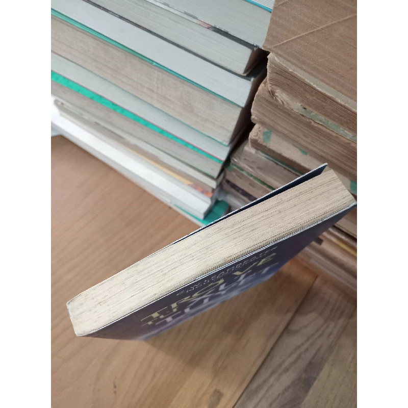 Trở về từ xứ tuyết - Nguyên Phong 124525