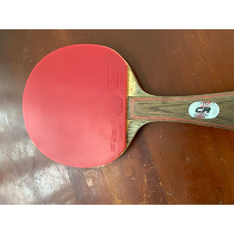 Vợt bóng bàn stiga vs yasaka 3770