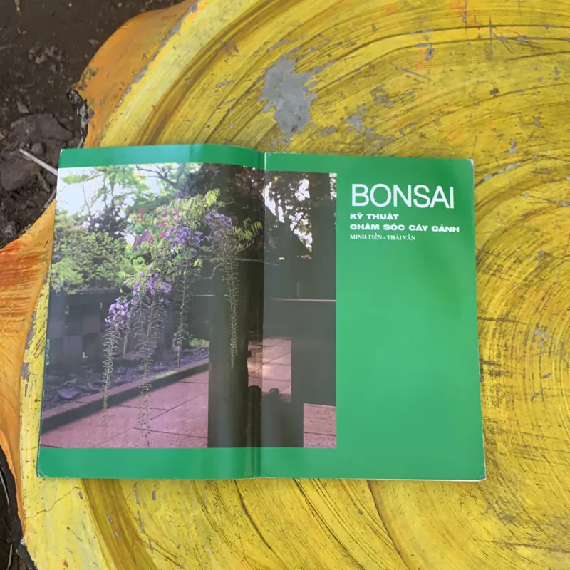  BONSAI KỸ THUẬT CHĂM SÓC CÂY CẢNH  759675