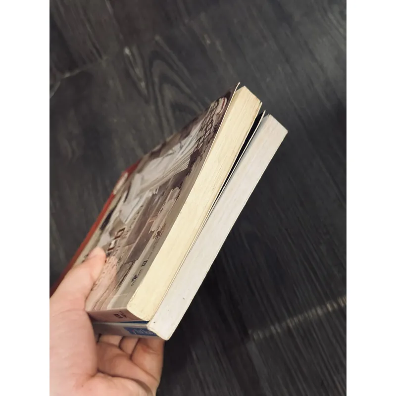 Combo Natsume Soseki 598807