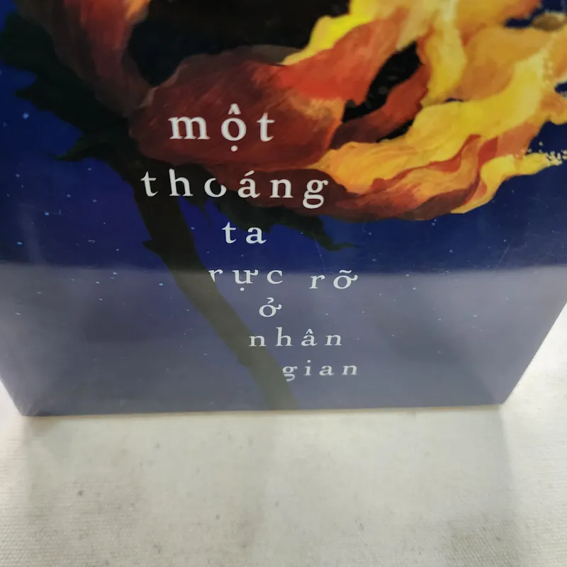 Một thoáng ta rực rỡ ở nhân gian | Ocean Vuong 696272
