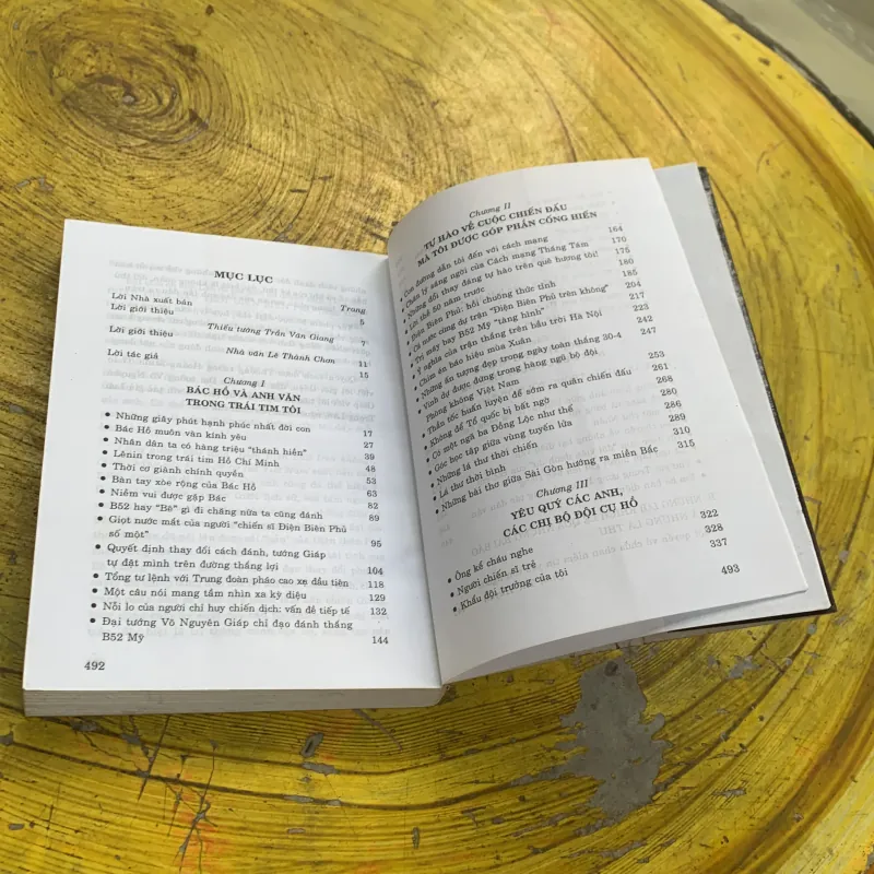 MỘT CHUYẾN TÀU ĐÊM- LƯU TRỌNG LÂN 748639