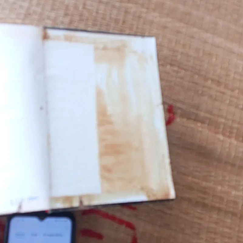 Thực trạng châu âu 957173