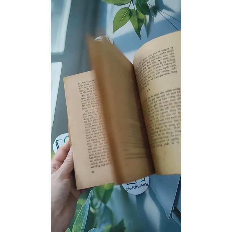 [XƯA] [HIẾM] Xứ Sở Nụ Cười (1984) - Tạ Văn Bảo 997585