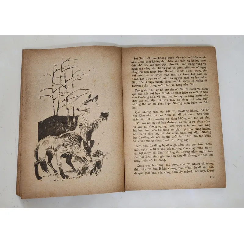 James Oliver Curwood - Kazan (Ca-Dăng) | NXB Kim Đồng 1985) 716952