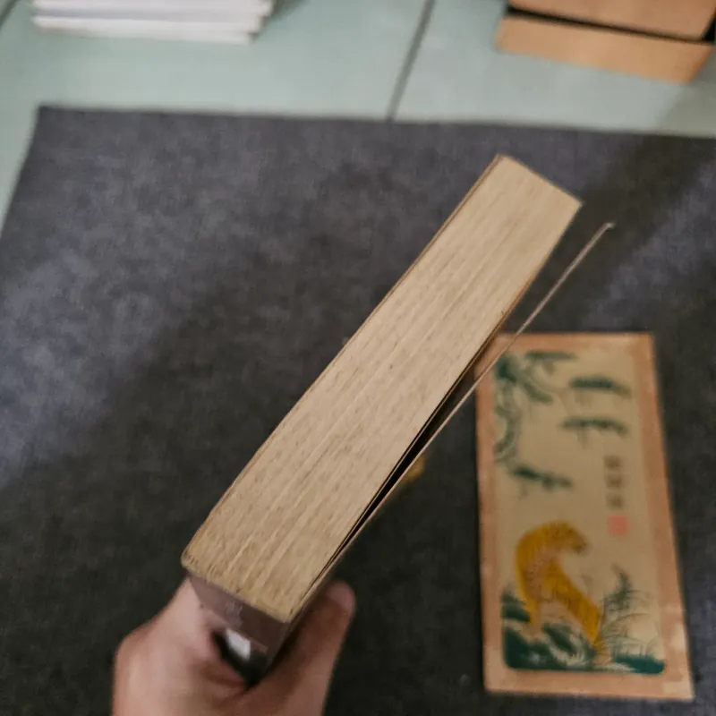 Phật giáo nhập môn - Fabrice Midal 745013