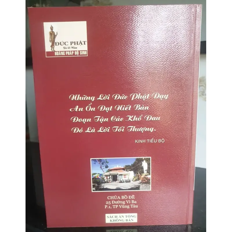 Đức Phật và 45 Năm Hoằng Pháp Độ Sinh - Tập 17 756011