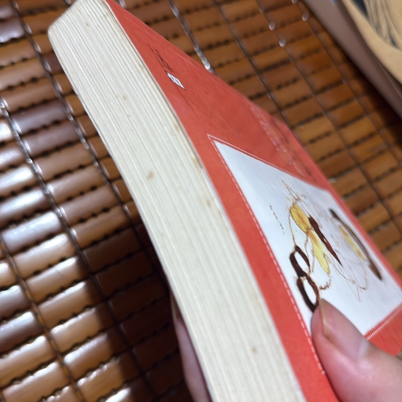 Totto Chan bên cửa sổ - Kuroyanagi Tetsuko 498783